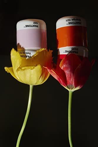 Копенхаген Дизајн Пантоне Мачиато чаша 100мл, светло розова, порцелан, една големина