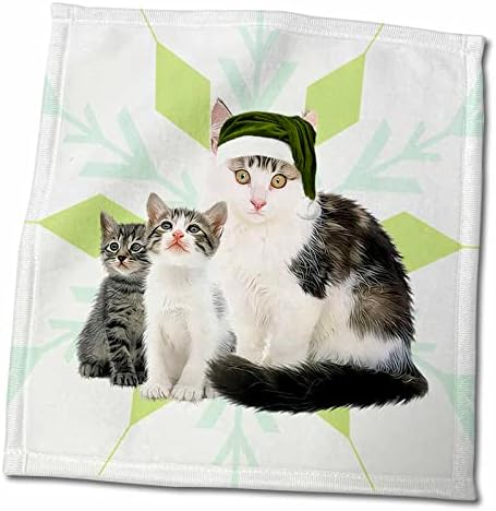 3drose MRS Claws Cat со мачиња во зелена Божиќна снегулка на Дедо Мраз - крпи