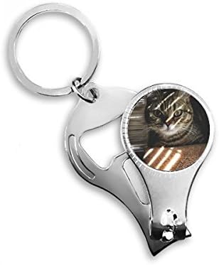 Animalивотна мачка зрачење Фотографија Снимајте нокти прстен прстен клуч за шише со шишиња со шише
