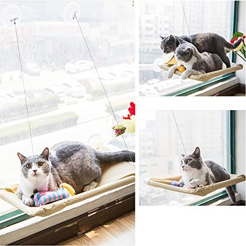 Креветите за Миленичиња и креветите за мачки може Да Се Инсталираат Со Прозорци Во Текот На Целата, Структурата На Вшмукувачката Чаша И Поставувањето