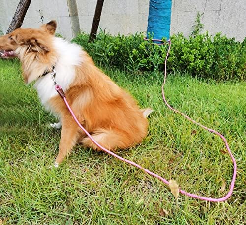 SepXuFore Tie Out Lope Dog Dog Leash, 8/10/15/20/30ft Тешка најлон проверка на кабелот за средни големи кучиња затворено/отворено играјќи