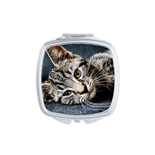 Ленти со мачки маче животно се релаксираат симпатична огледало преносен компактен џеб шминка двострано стакло