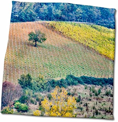 3drose Данита Делимонт - Земјоделство - Италија, Тоскана, осамено дрво на поле. - крпи