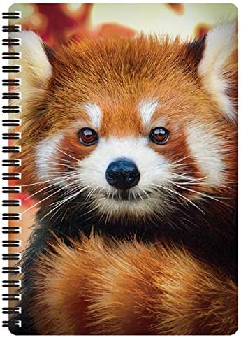3Д лаптоп за животни - црвена панда од Делуксбаза. 80 Страна поставена летикуларна 3Д црвена панда тетратка. 8,5 x 5,5 инчи.