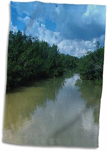 3drose Florene Water Pandscape - Bellowy Mangroves - крпи