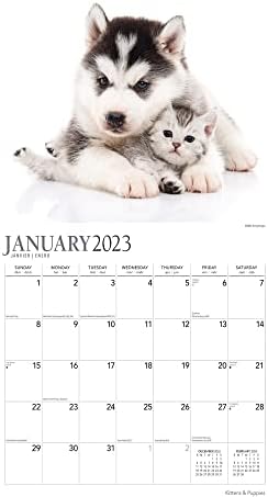 Календар за мачиња и кутриња 2023 година - Делукс 2023 пакети за календари за мачиња и кутриња со над 100 налепници за календари