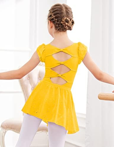 Заклаат девојки балетско здолниште со шифон Повлечете ги здолништата за танцување за дете/детска танцувачка облека 2 пакет