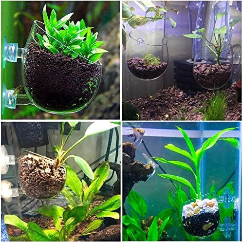 Quluxe Aquarium Plant Pot, 2 парчиња стакло риба резервоар за растенија држач аквариум засадувач, аквариумски растенија за декорација чаши со 4 чаши за вшмукување за риба резер