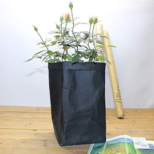 LOKODO SHATER KRAFT HAPER CAGL PLANT FLEBURES POTS MULTIFUNCTION HOME CAST TAG