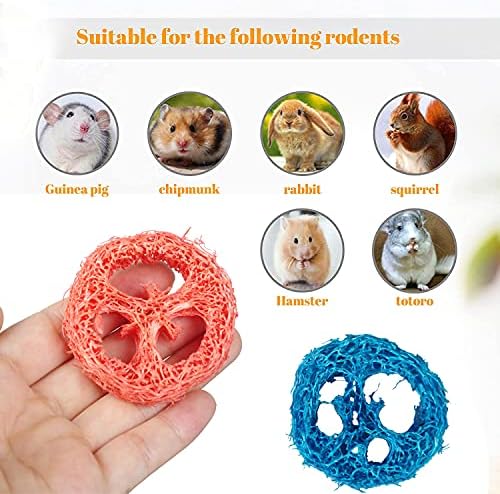 Донг Хуанг 20 парчиња Играчки За Џвакање Зајаче За Играчки За Џвакање Заби За Зајаци, Органски Природни Играчки За Џвакање Луфа, Рачно Изработени