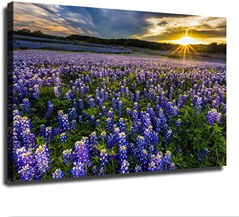 Тексас Bluebonnet цвеќиња поле на зајдисонце Мулешое, област за рекреација, област фотографија, плажа, палма пејзаж слики океански