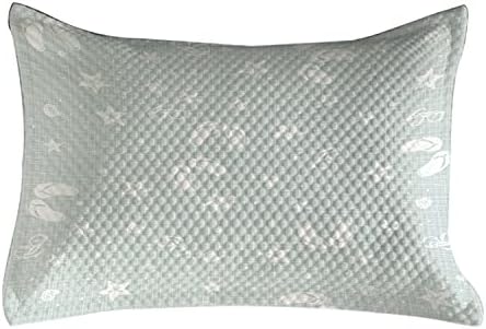 Ambesonne Aqua quilted pemowcover, плоча за дизајн на теми на плажа starsвездени рибиња флип апостолки летни празнични слики, стандарден