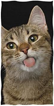 Алаза микрофибер салата за теретана смешна среќна мачка, брзо сушење спортска фитнес потта за миење на лицето 15 x 30 инчи