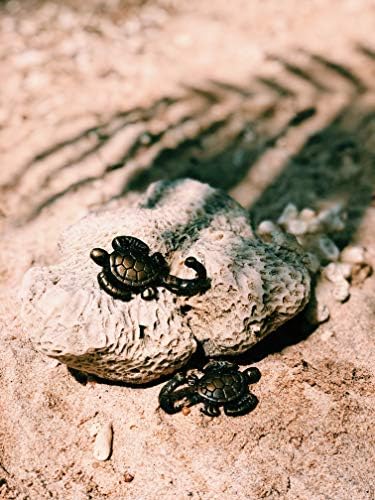 Истражувачи за живеење Мала симпатична морска желка Антички држач за месинг од месинг и wallидна кука за чаша за пешкир од капа