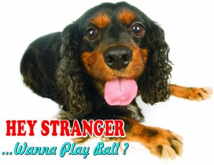 Внимание-Внимавајте / Забавен Знак Куче Играчка Тралер Шпаниел Куче За вашиот дом ИЛИ куќа СФ2247 Големина А5