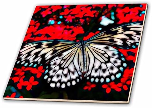 3дроза Убава Пеперутка На Црвени Цвеќиња Слика На Светло Внесено Сликарство-Плочки