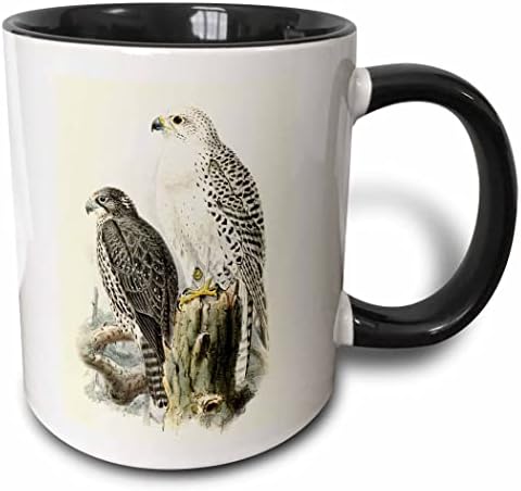 3drose бел gyrfalcon gyr falcon Birds of Prey Vintage Art Falconry Bird - чаши