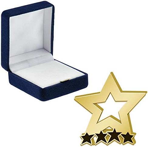 Crown Awards Team Working Star Pins, Teamwork Star Pin со случај на презентација на Blue Velvet