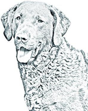 Чесапик Беј Ретривер, Овален Надгробен Споменик Од Керамичка Плочка со Слика На Куче