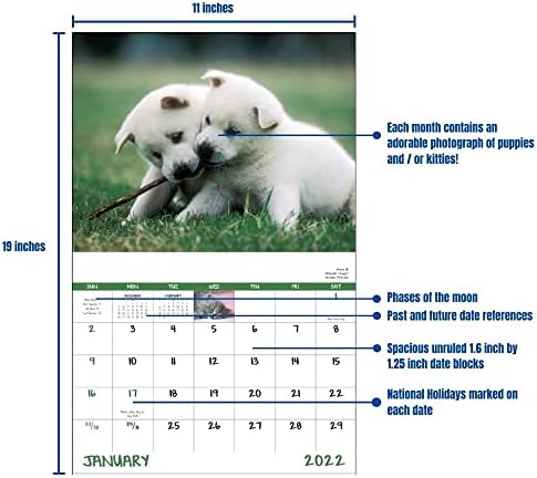 Кул календари кученца и мачиња 2022 висина календар за wallидови - 19in x 11in 2022 месечен планер и организатор на закажување. Најсечените