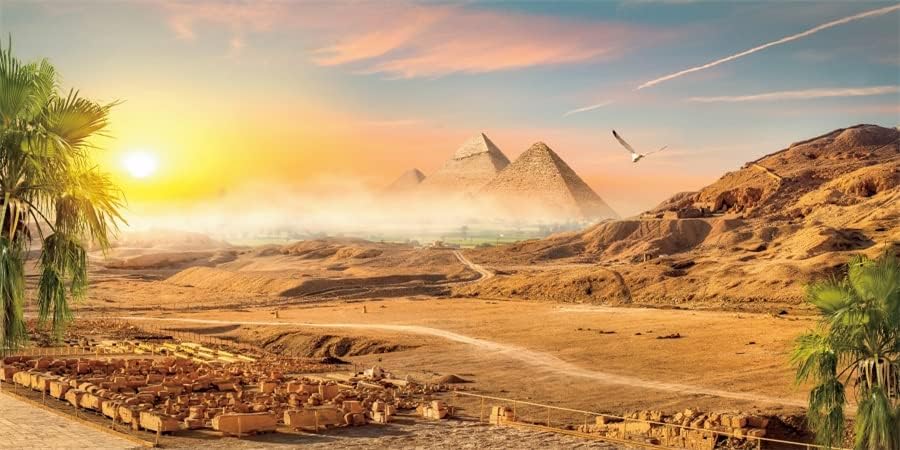 Јеле 20х10фт Пирамидална Пустинска Позадина Кокосови Дрвја Сонце Природа Сценска Фотографија Позадина Античка Цивилизација Земја Египет Пирамидални
