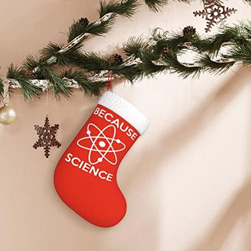 Cutedwarf затоа што научното Божиќно порибување на Божиќни празници Орнаменти Камино виси чорап 18 инчи чорапи