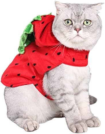 Леоу миленичиња Ноќта на вештерките мачка мачка мало куче зајак облека џемпер јагода топла мека зимска облека