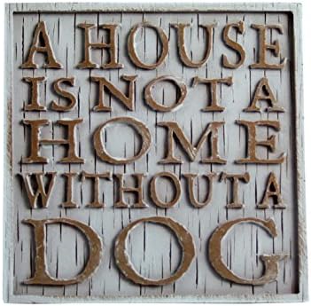 Дрифтвуд Подлоги-Куќата Не Е Дом Без Куче
