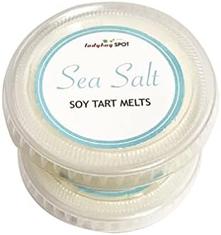 Лејдибуг Мет од тенџере од соја се топи чаши - мирис на морска сол - 2 чаши - вкупно 3,2 мл
