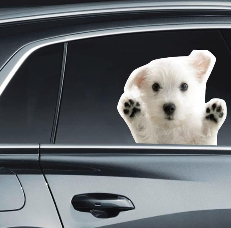 Прозорец за кучиња за кучиња, смешни 3Д кучиња декларираат за која било мазна површина